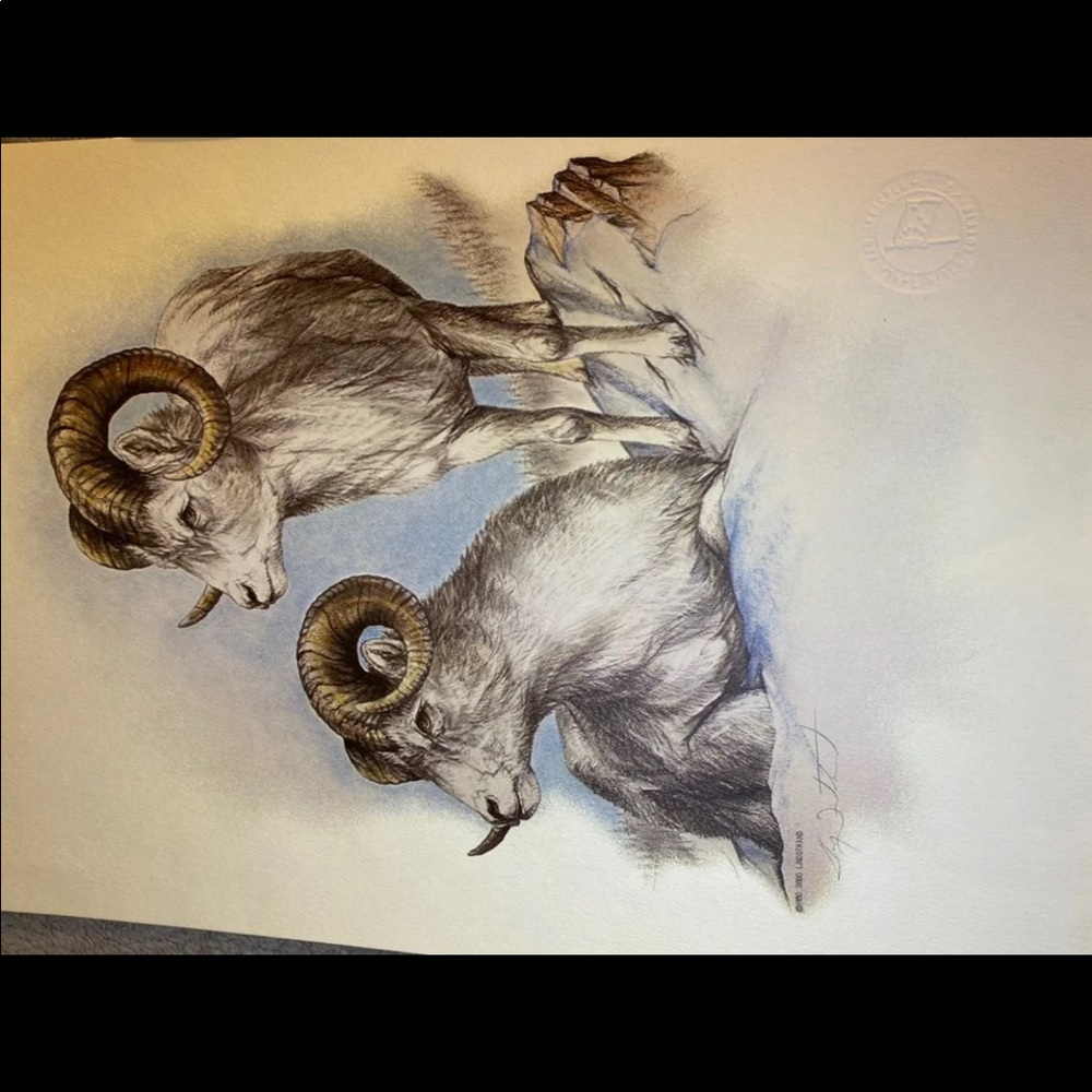 Alaska artwork - Picture 6 of 11